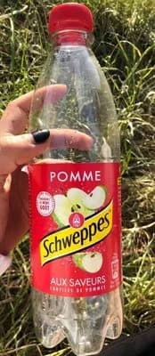 Blle Pet 50CL Schweppes Pomme