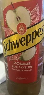 PET 1.5L POMM SCHWEPPES – 1,5 l